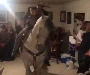 Party in casa con un cavallo