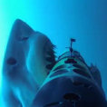 Un enorme squalo attacca il supporto della telecamera sott'acqua