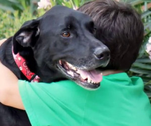 Il cane sta per morire, la famiglia decide di regalargli un giorno speciale