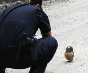 Un poliziotto di pattuglia fa un incontro che gli cambierà la giornata