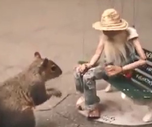 Questa fantastica marionetta a Central Park ti farà ritornare bambino