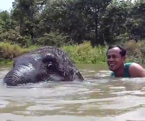 Uomo nuota con un piccolo elefante