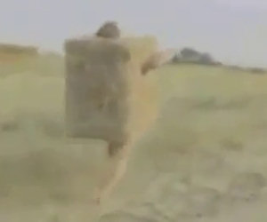 Uomo si trasforma in balla di fieno