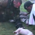 Vigili del fuoco rischiano la vita per salvare due cani pit bull