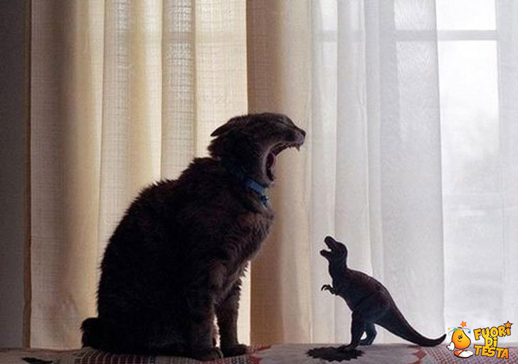 Il gatto e il dinosauro