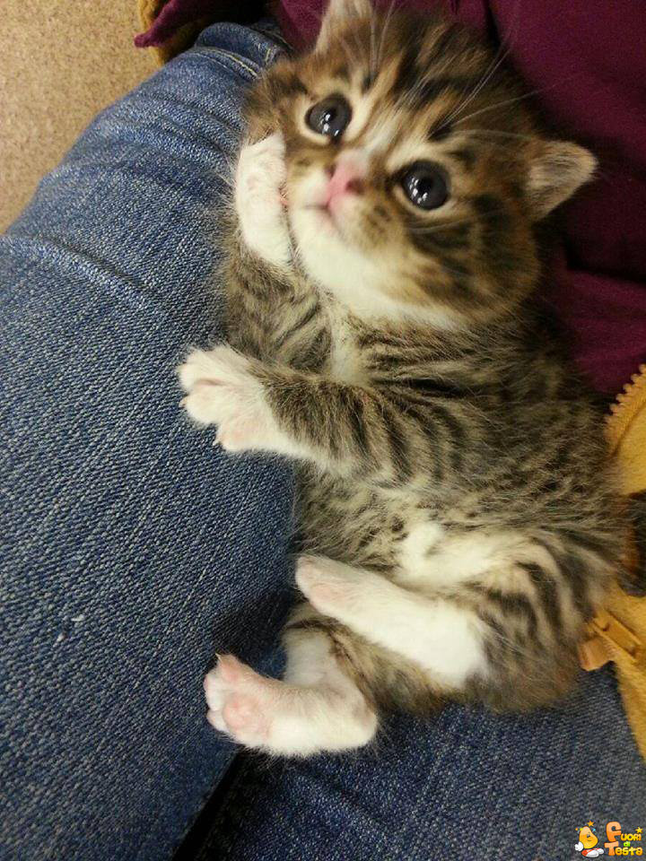 A cosa starà pensando?