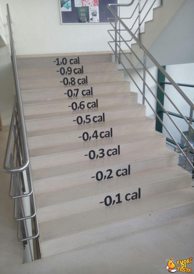 La scala delle calorie