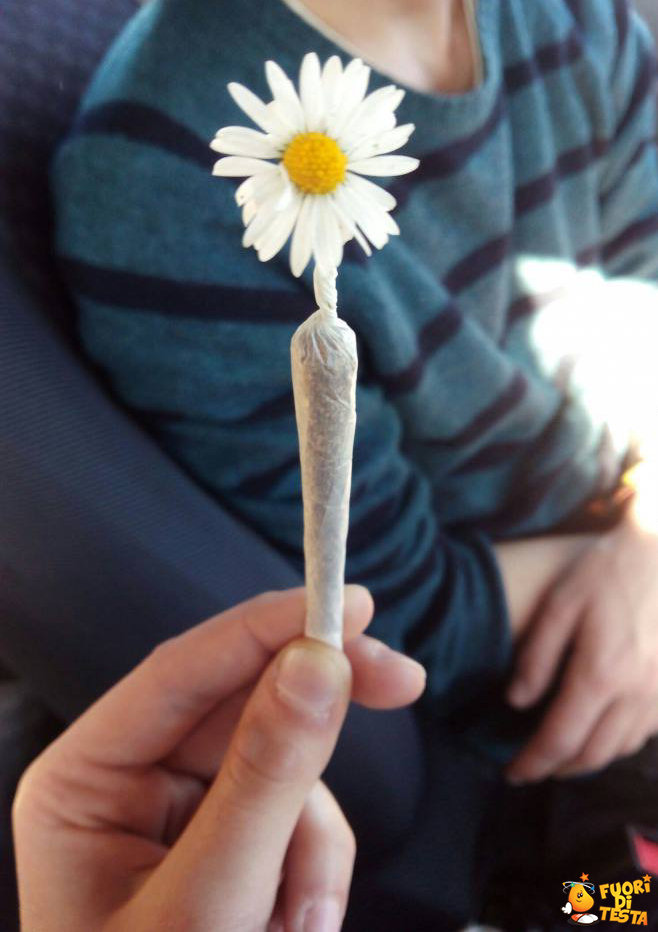 Un fiore particolare