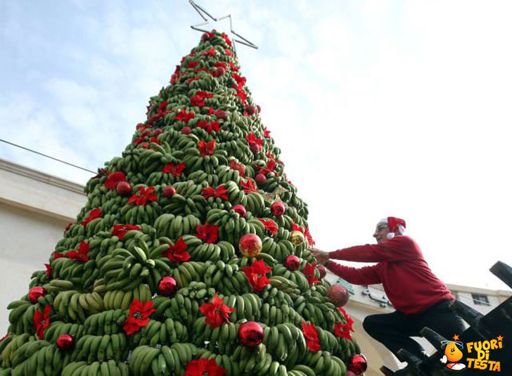 L'albero di banane