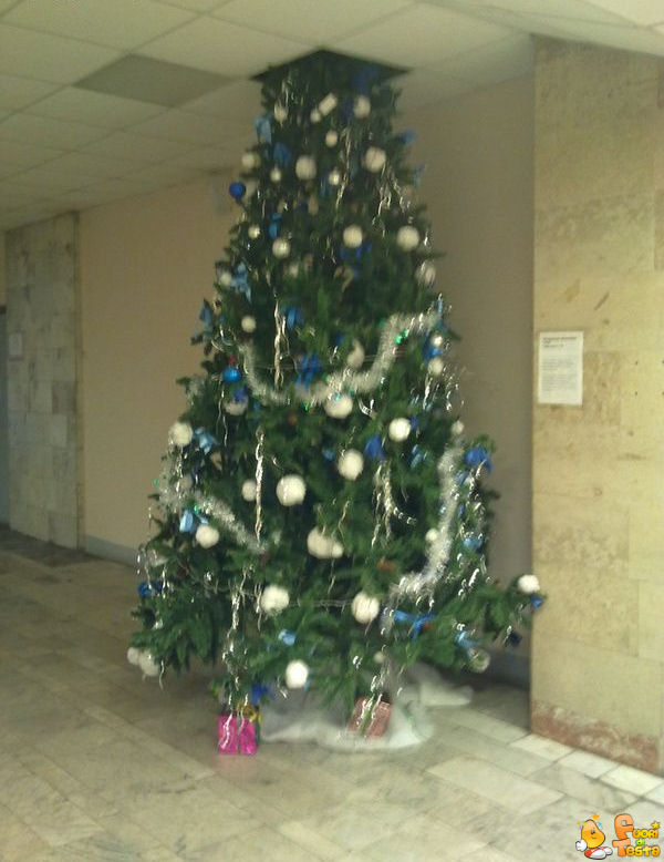 Albero di Natale troppo alto