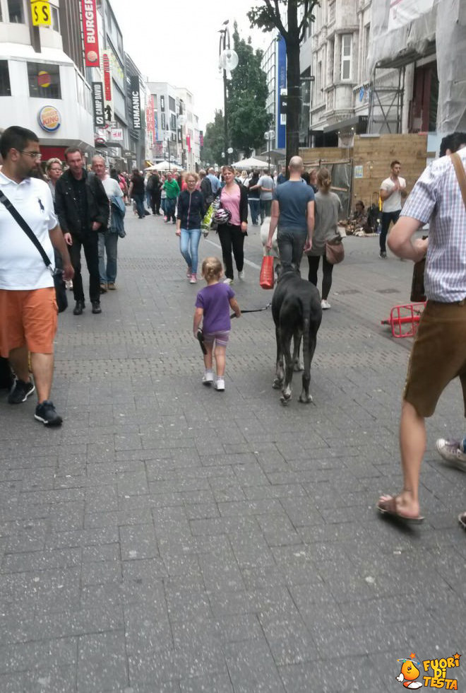 Bimba porta a spasso il cane