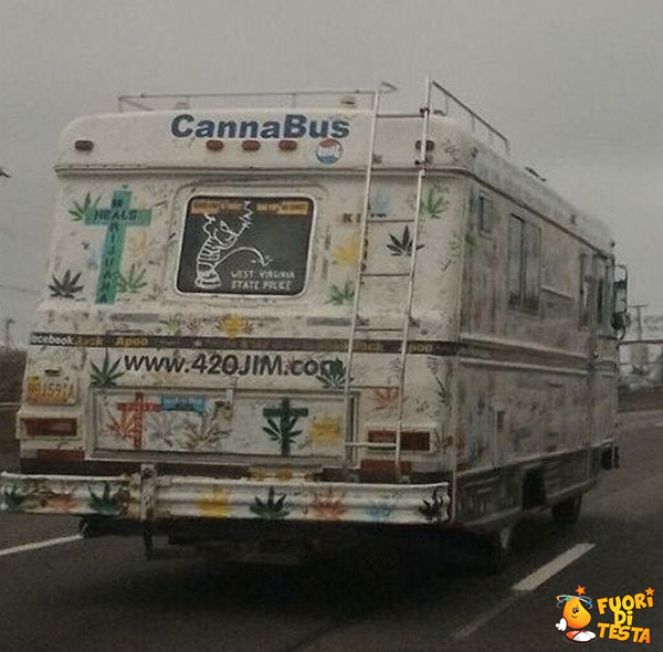 Cannabus