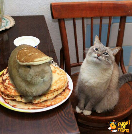 C'è qualcuno nei miei pancakes
