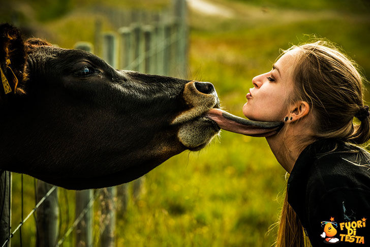 Che bacio appassionato!