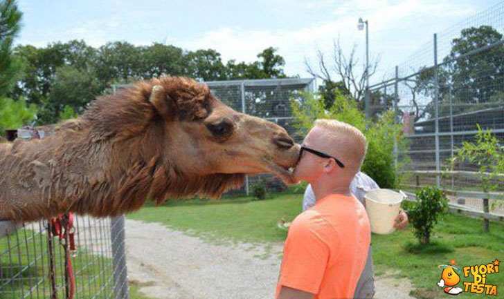 Che bel bacio appassionato!