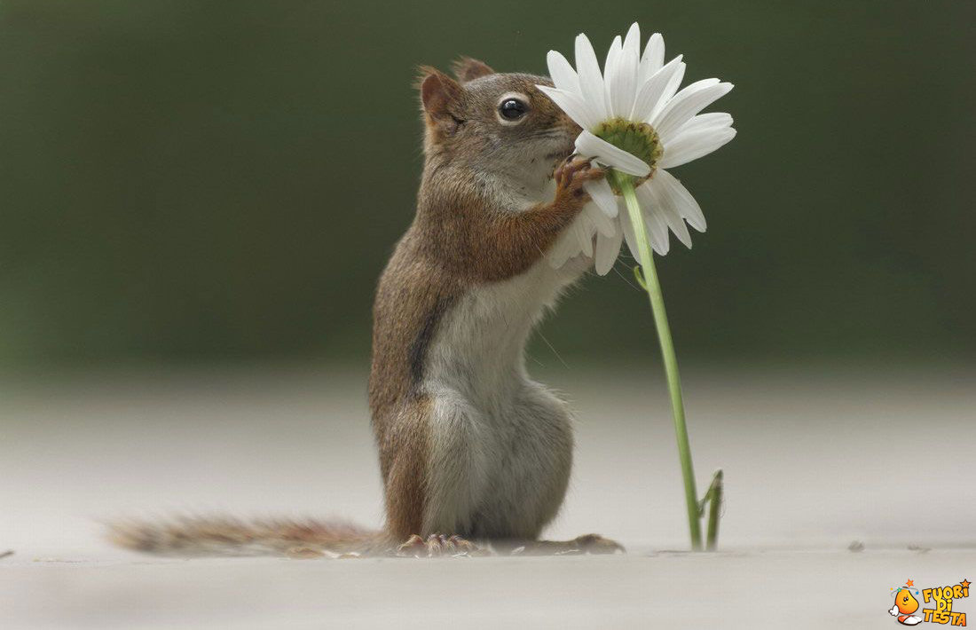 Che buon profumino!