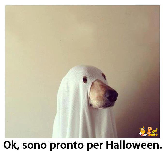 Costume di Halloween