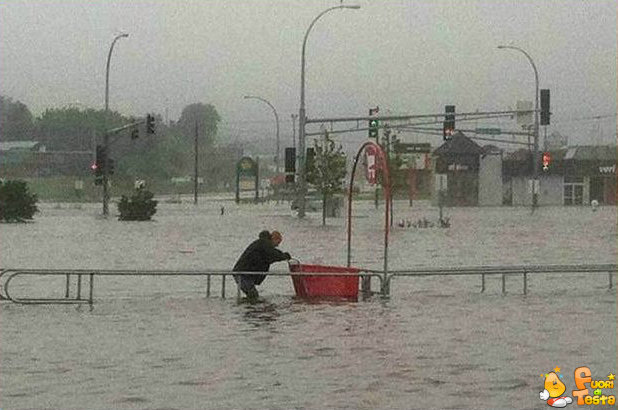 Devo riportare il carrello...