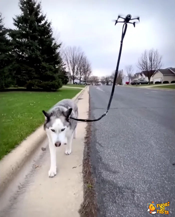 Drone porta in giro il cane