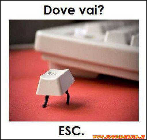 Dove vai?