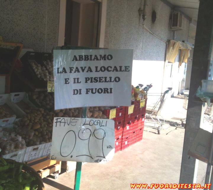 Fava locale