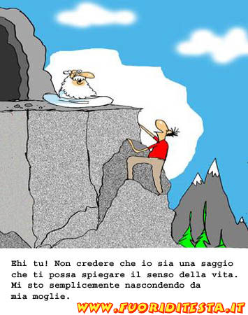 Finto saggio