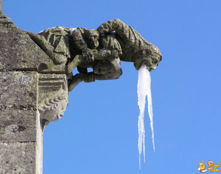 Gargoyle, ieri ha bevuto troppo!