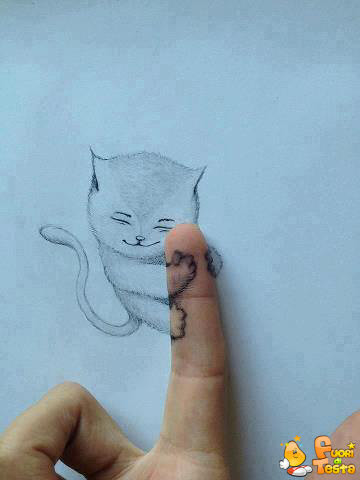 Gatto sul dito
