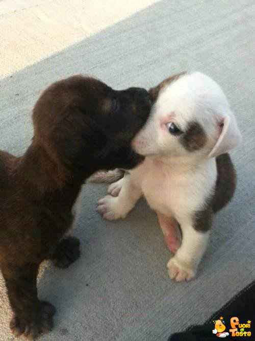 Hai un naso molto gustoso!