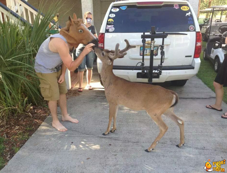 Ho trovato l'anima gemella