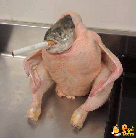 Il famoso pesce pollo fumatore