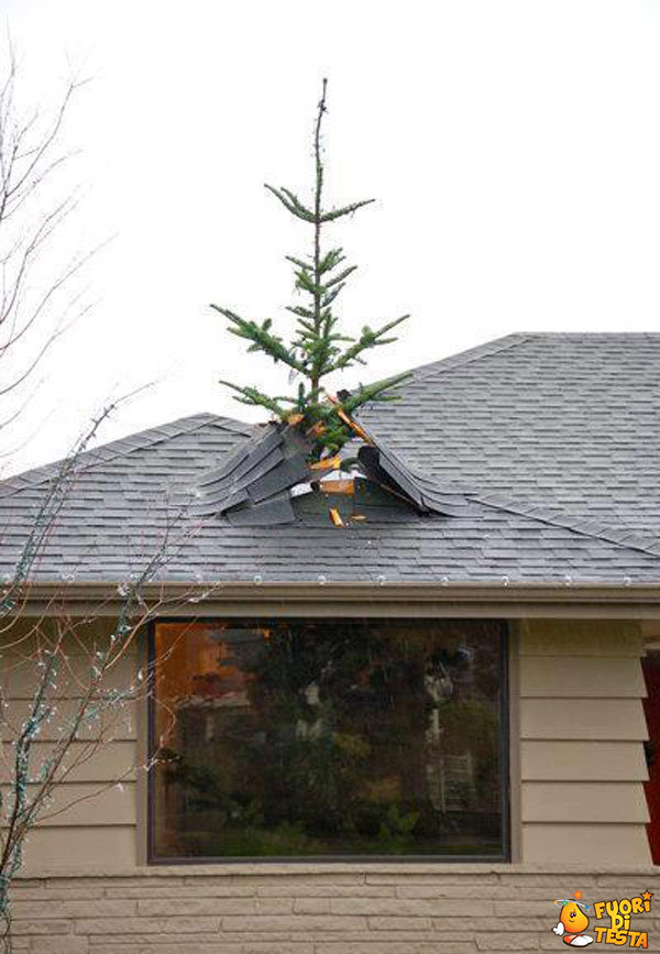 L'importante è fare l'albero