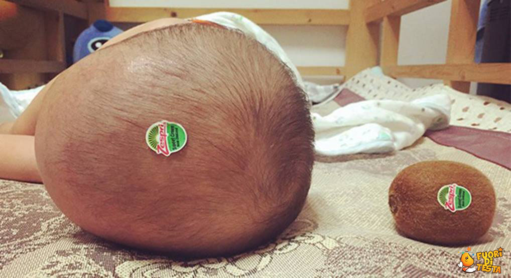 Kiwi troppo cresciuto