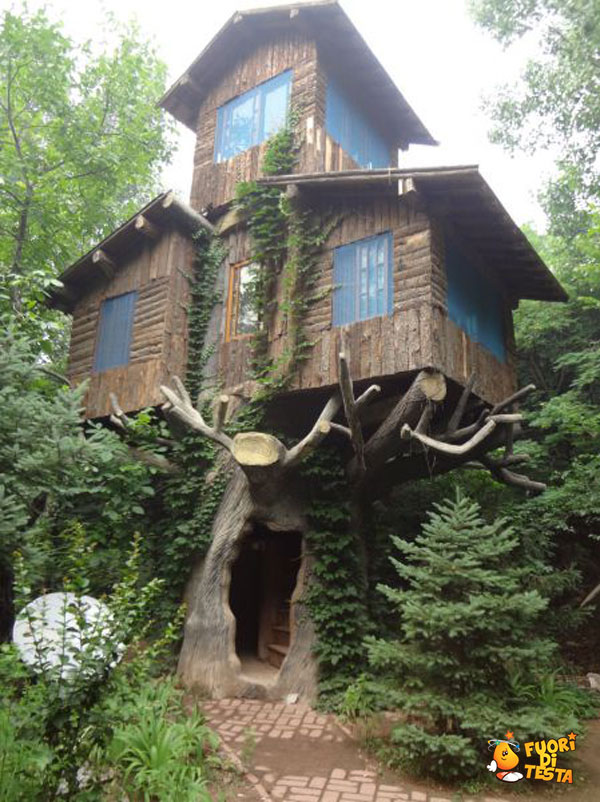 La casa sull'albero