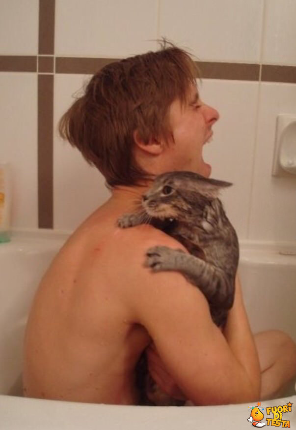 Mai fare il bagno col gatto