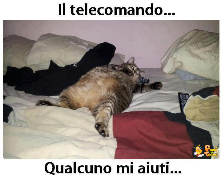 Passa il telecomando