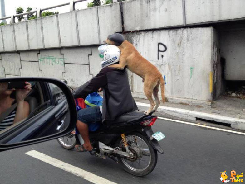 Presto, insegui quel taxi!