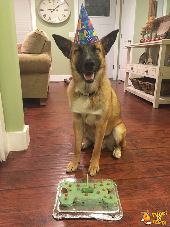 Sorridi, è il tuo compleanno!