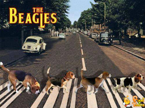 The Beagles