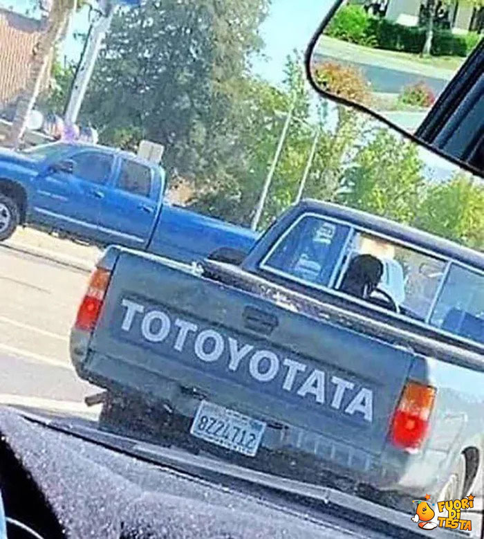 Totoyotata