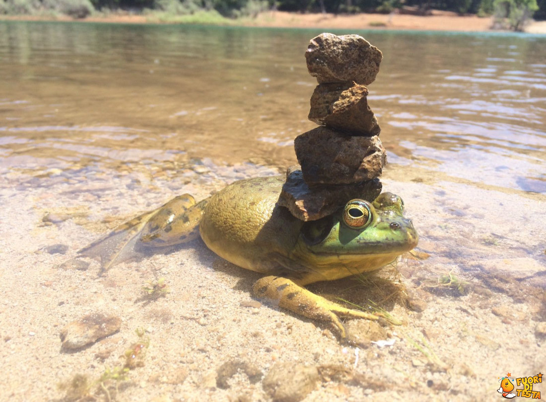 Tutta questione di equilibrio