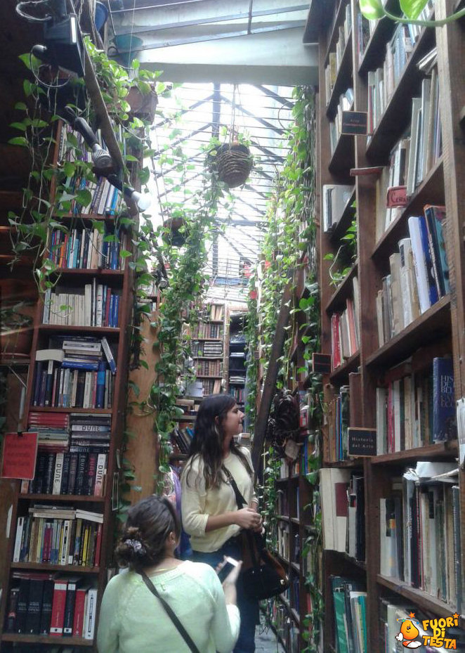 Una fantastica libreria