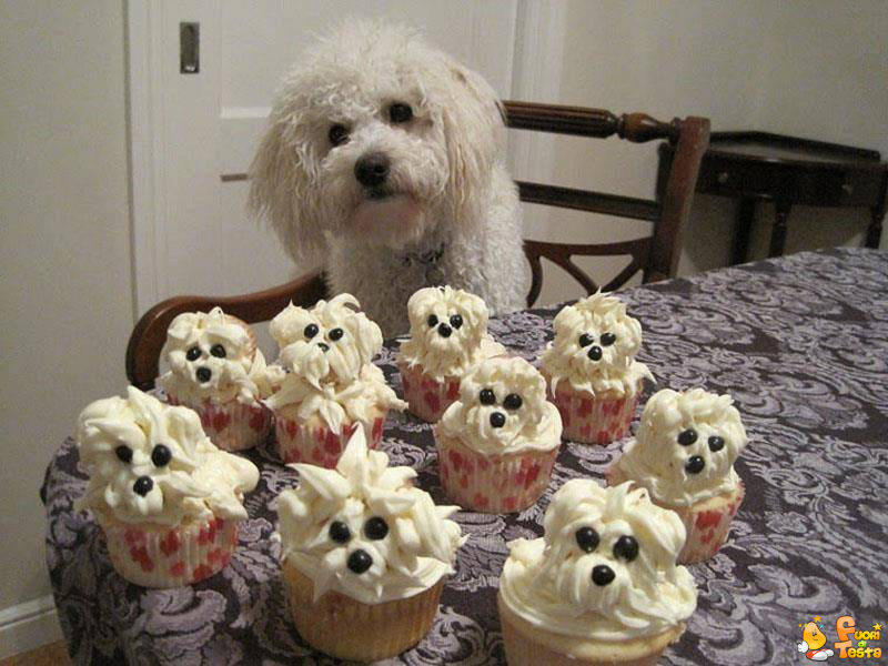 Vuoi una cupcake?