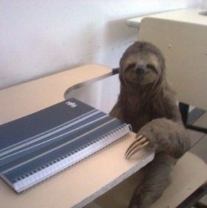 Adesso si inizia a studiare