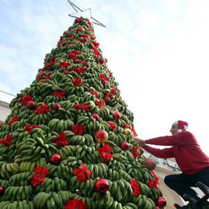 L'albero di banane