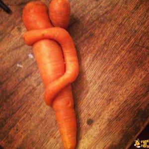 Anche le carote si amano