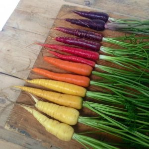 Arcobaleno di carote