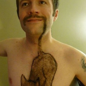 Barbe artistiche