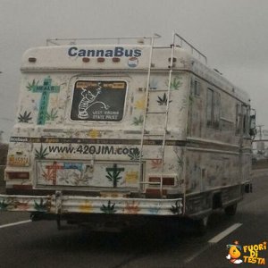 Cannabus