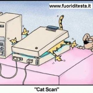 Catscan